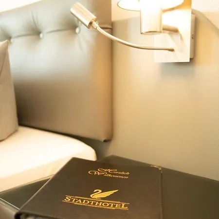 Stadthotel 호텔 3*
